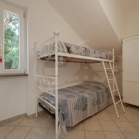 Sud Est - Goelba